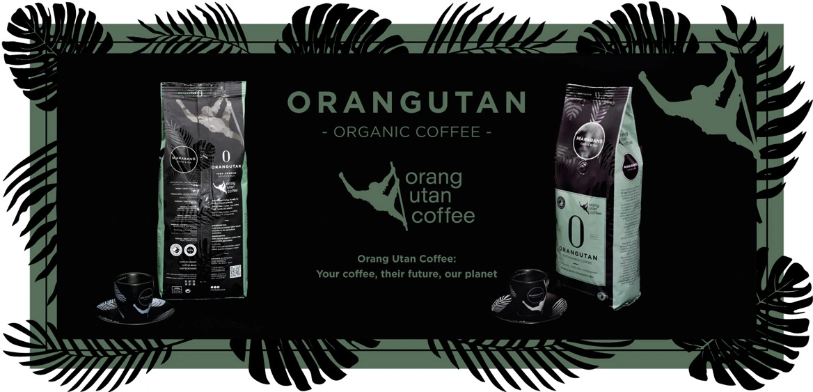 orangutan en